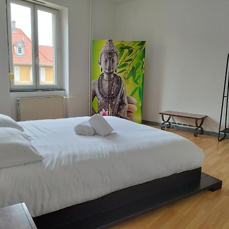 Le Thannois - Appartement 2 Chambres, Salon, Cuisine Equipee, Parking Et Wifi Gratuit Mulhouse Esterno foto
