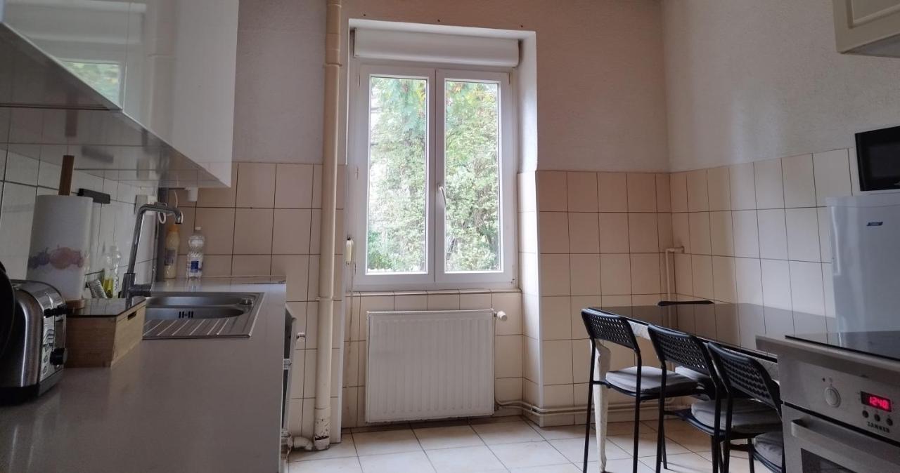 Le Thannois - Appartement 2 Chambres, Salon, Cuisine Equipee, Parking Et Wifi Gratuit Mulhouse Esterno foto