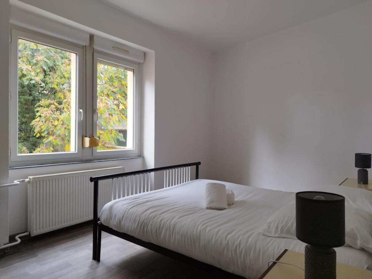 Le Thannois - Appartement 2 Chambres, Salon, Cuisine Equipee, Parking Et Wifi Gratuit Mulhouse Esterno foto