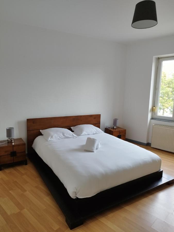 Le Thannois - Appartement 2 Chambres, Salon, Cuisine Equipee, Parking Et Wifi Gratuit Mulhouse Esterno foto
