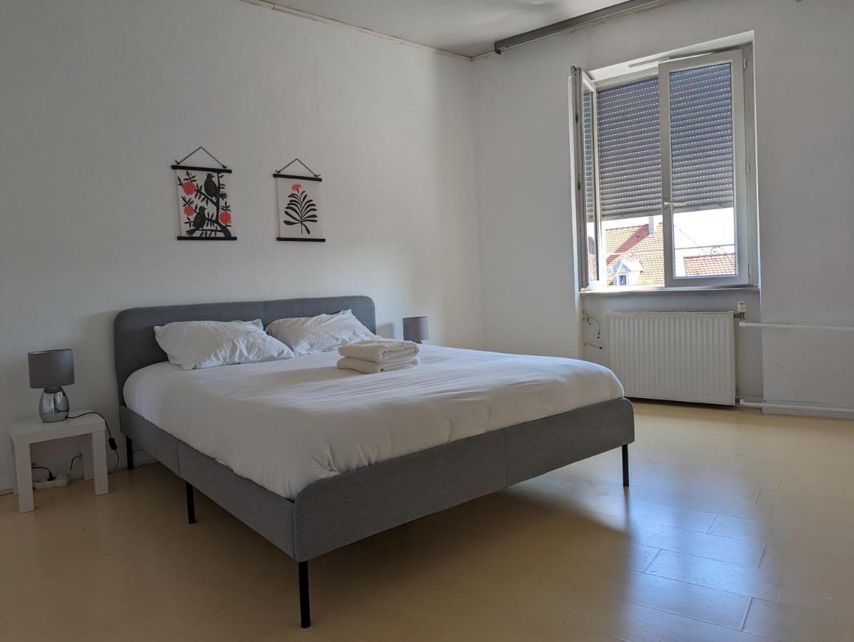 Le Thannois - Appartement 2 Chambres, Salon, Cuisine Equipee, Parking Et Wifi Gratuit Mulhouse Esterno foto